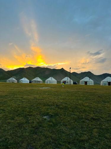 a group of white tents in a field at sunset at NOMAD KEL-SUU Yurt Camp in Kol-Suu