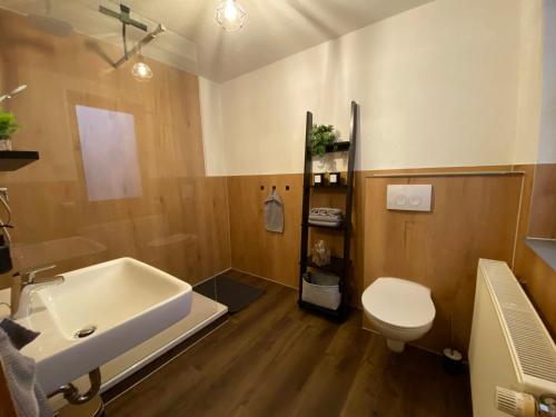 a bathroom with a white sink and a toilet at Deer Lounge in Bad Liebenstein
