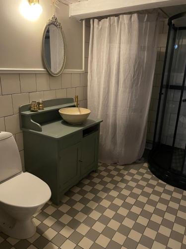 a bathroom with a sink and a toilet and a shower at Österlen - Gathus in Onslunda in Onslunda