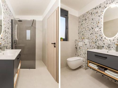 a bathroom with a toilet and a sink and a mirror at Villa Giulia by IstriaLux in Manjadvorci