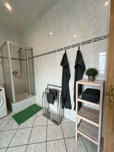 a bathroom with a shower and a toilet and a sink at Fortuna Inn Salzmünde in Salzatal