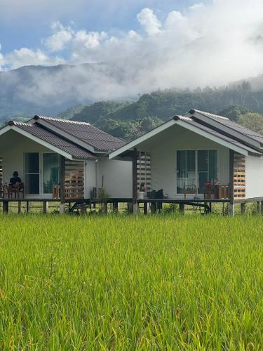 a house with a green field in front of it at สะปันดีวิว Sapan Dee View บ่อเกลือ น่าน in Ban Huai Ti
