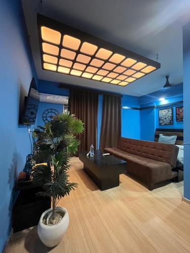 a living room with a couch and a potted plant at The Nest Lucknow in Lucknow