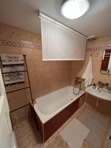 a bathroom with a tub and a sink at U babičky in Suchov