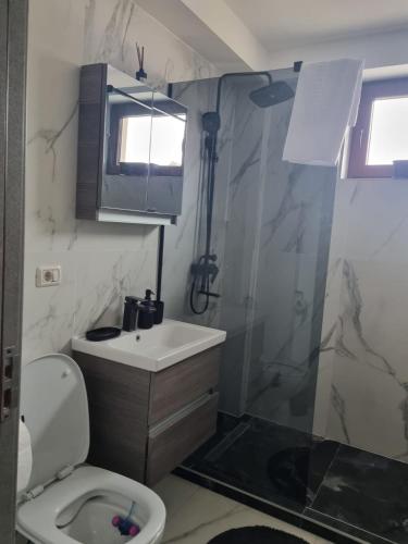 a bathroom with a shower and a toilet and a sink at ApuLux Apartments in Alba Iulia