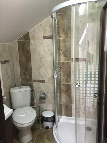 a bathroom with a toilet and a glass shower at Vila Cristal in Târgu Ocna