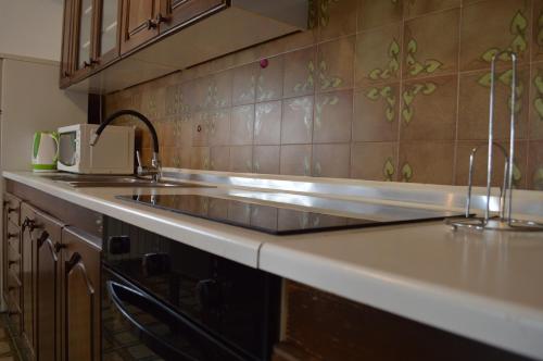 a kitchen with a sink and a counter top at Anka Cozy Apartment in Galovac