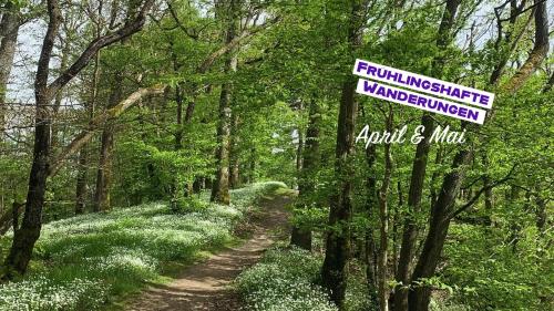 a sign on a trail in a wooded area at Haus Alleegarten in Bad Bertrich