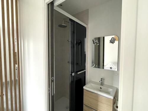 a bathroom with a sink and a shower and a mirror at Studio au calme - rez de jardin in Chignin