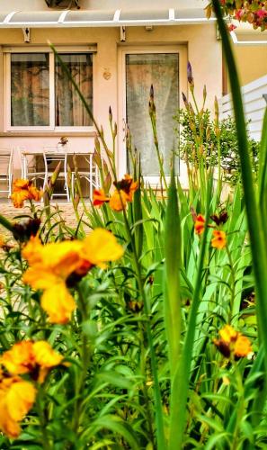 BHH BOLOGNA HOLIDAY HOME private Garden Reserved Parking -wwwbolognaholidayhomecom- house garden parking photo 22