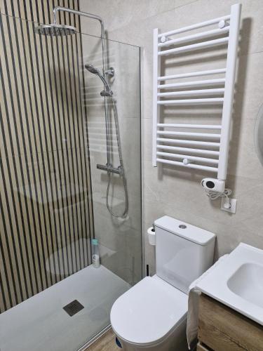 a bathroom with a shower and a toilet and a sink at Apartamento Triana Rio in Arenas de San Pedro