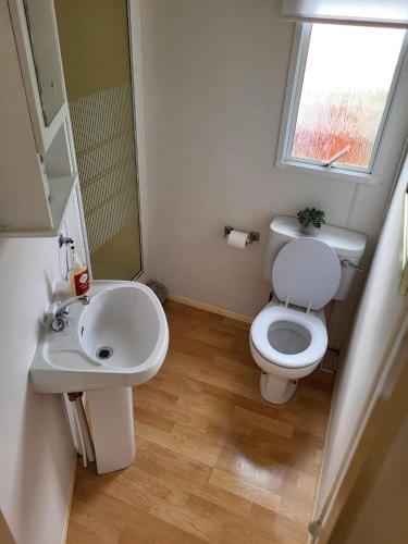 a small bathroom with a toilet and a sink at Caravan in Chapel Skegness in Chapel Saint Leonards