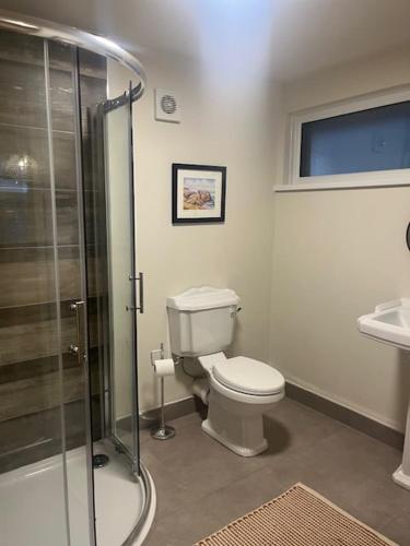 a bathroom with a toilet and a glass shower at Brocklamont cottage in Ballymena