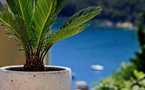 Apartment in Rabac 16698