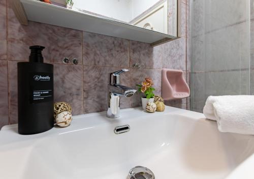 a bathroom sink with a soap dispenser on it at Hostly G&G Home in Pisa