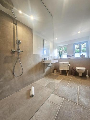 a bathroom with a shower and a toilet and a sink at Uijs Hüs in Borgsum