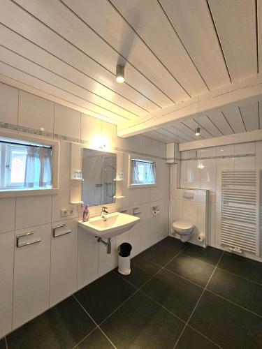 a bathroom with a sink and a toilet at Ilskes Hus in Oevenum