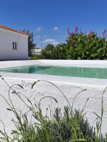 a swimming pool in front of a house at Mileu slowhouse in Veiros