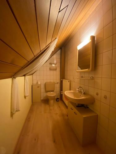 a small bathroom with a sink and a toilet at Ferienhaus Soonwald in Schwarzerden