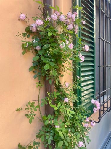 Notes of Florence - Stylish Suite in an Authentic Area