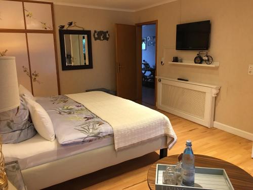 a bedroom with a bed with a television and a table at Comfort Doppelzimmer mit Balkon und Blick ins Grüne in Mespelbrunn