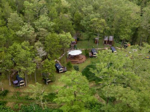 an overhead view of a group of tents in the woods at Bobocabin Coban Rondo, Malang in Songgoriti