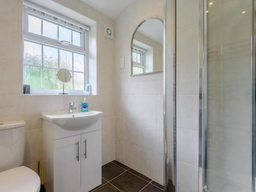 a bathroom with a toilet sink and a shower at 1 Bed in Conwy oc-79357 in Llangelynin