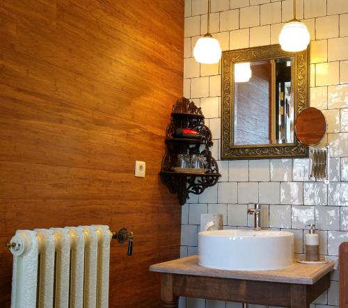 łazienka z umywalką, lustrem i grzejnikiem w obiekcie Bed & Breakfast Exterlaer w Antwerpii