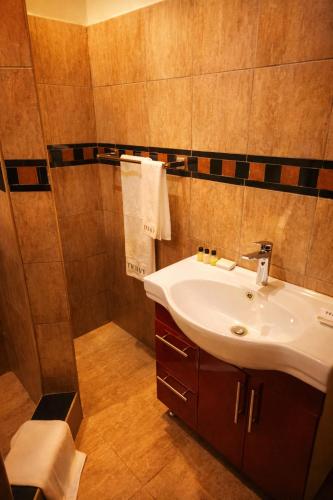 a bathroom with a sink and a shower at The Ivy Hotel in Lusaka