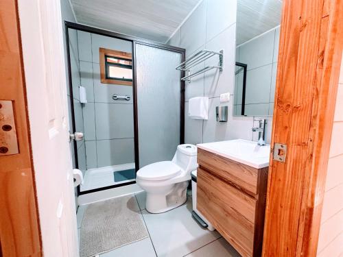 a bathroom with a toilet and a shower and a sink at Cabañas Alto del Bosque in Coñaripe