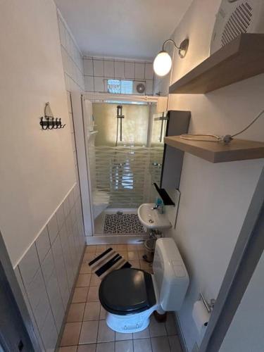 a small bathroom with a toilet and a sink at Au Bout du Monde - Dinant in Waulsort