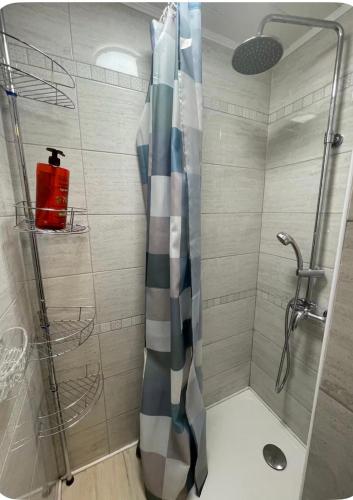 una doccia con tenda da doccia in un bagno di Bienvenue a Saint-Dalmas-le-Selvage
