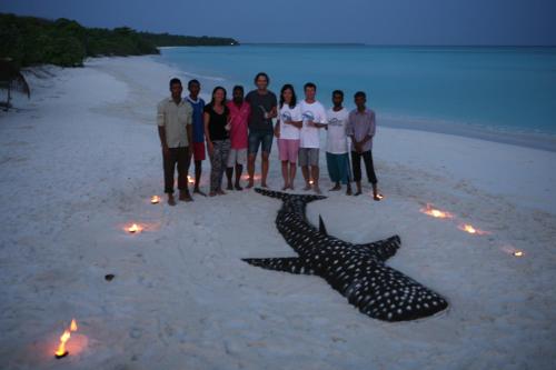 a group of people standing next to a starfish on a beach at Azoush Tourist Guesthouse in Fulhadhoo