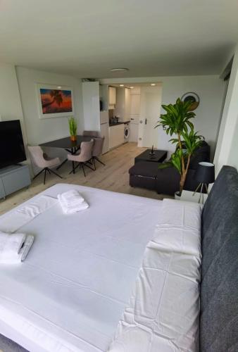 JSH Studio Benidorm Levante First Line