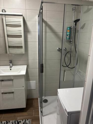 a bathroom with a shower and a sink at Apartmán u Hradu 2 in Cheb