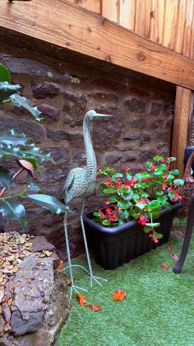 Cosy boutique retreat, courtyard & free parking photo 29