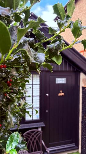 Cosy boutique retreat, courtyard & free parking photo 33