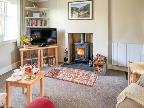a living room with a fireplace and a stove at Craigrannoch Cottage in Rockcliffe