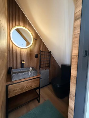 a bathroom with a sink and a toilet and a mirror at Stone & Soul House in Chernihiv