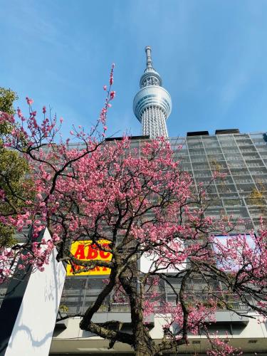 Sky Tree 2 minutes on foot-SM0215