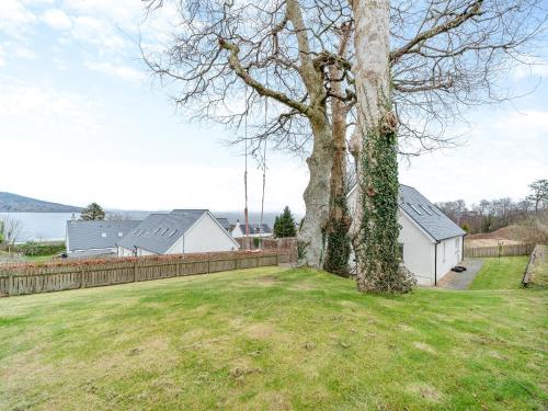 a tree in a yard next to a fence at Springbank in Brodick