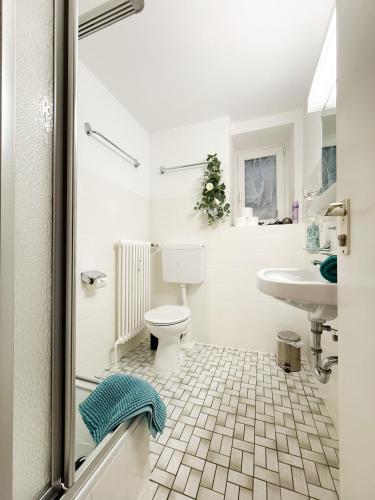 a white bathroom with a toilet and a sink at Ferienwohnung Marie - WLAN, Küche, im Ortskern, Einkaufsläden in der Nähe in Malterdingen
