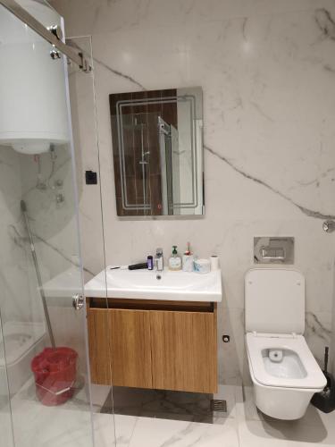 a bathroom with a sink and a toilet at becici residance with pool & sauna in Budva