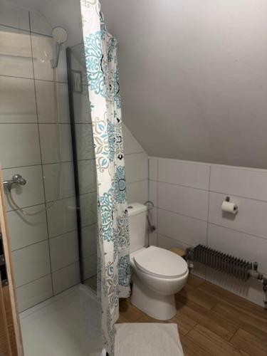 a bathroom with a toilet and a shower curtain at Zajazd Rybaki in Płock