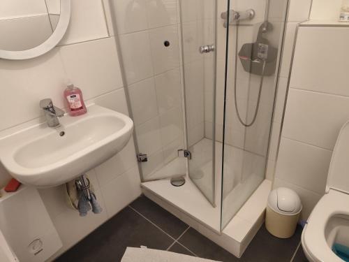 a bathroom with a shower and a sink and a toilet at Appartement in Hannover
