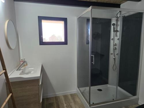 a bathroom with a shower and a sink at Aigues-Vives Appartement in Aigues-Vives