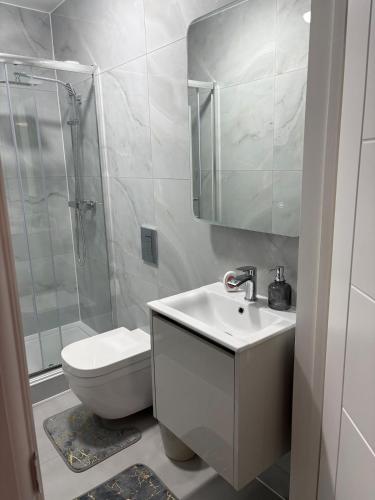 a bathroom with a sink and a toilet and a shower at Petite Apartment in Denham in Denham