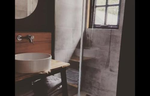 łazienka z umywalką i prysznicem w obiekcie Tiny house Weerdinge w mieście Emmen