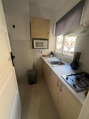 a small kitchen with a sink and a microwave at Almendra B Vitalba Apartments in Lanjarón