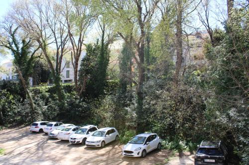 Apartment Ankora Batala